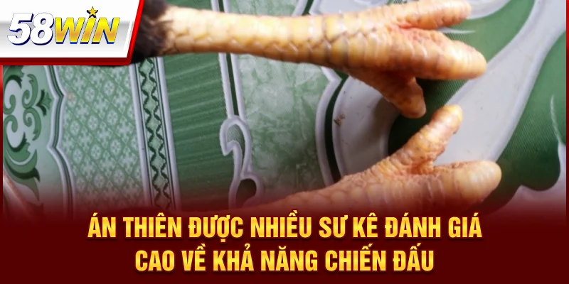 Vảy Án Thiên